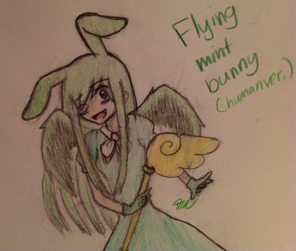 Flying mint bunny by jjgirl99 on DeviantArt