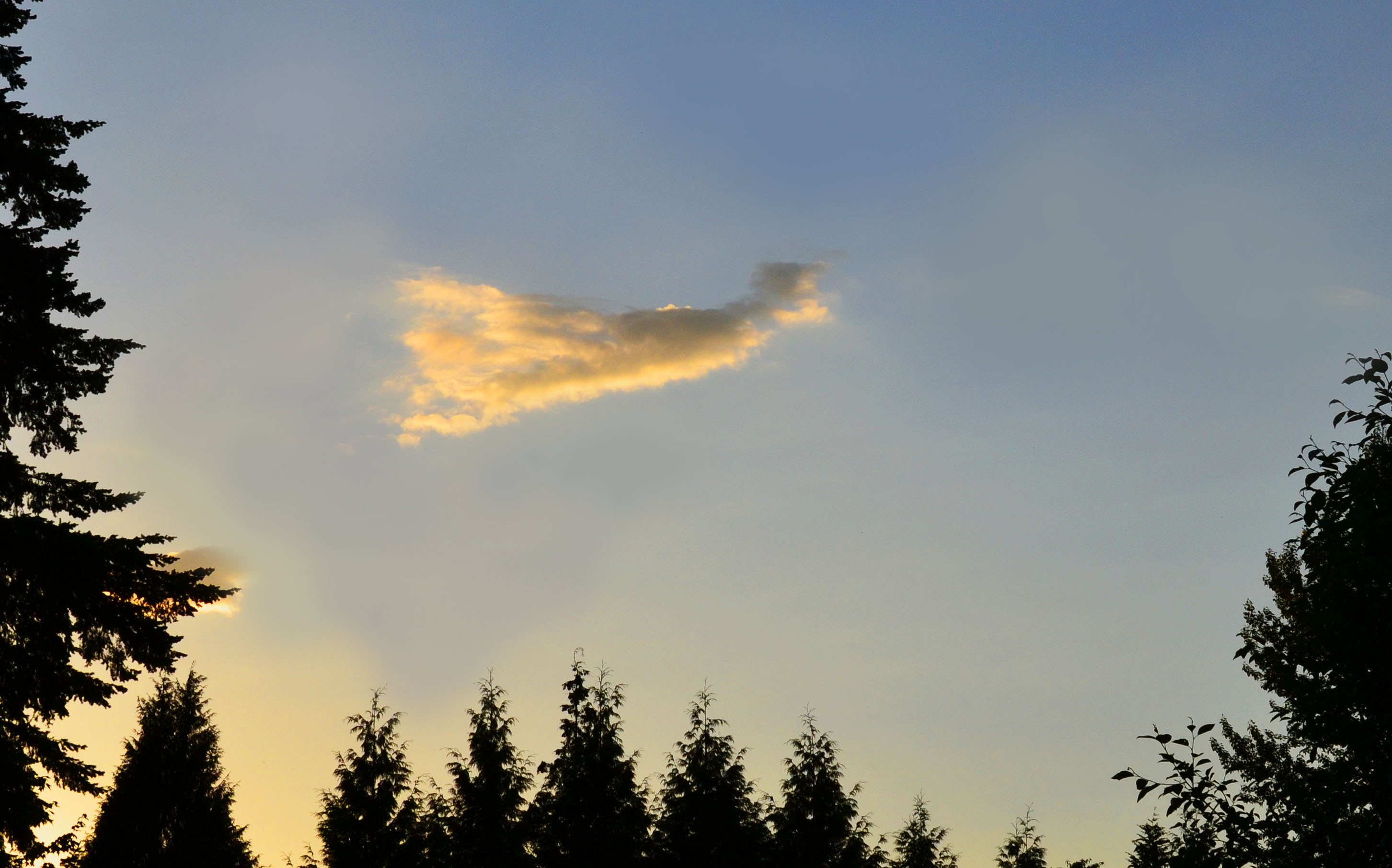 Angel Cloud