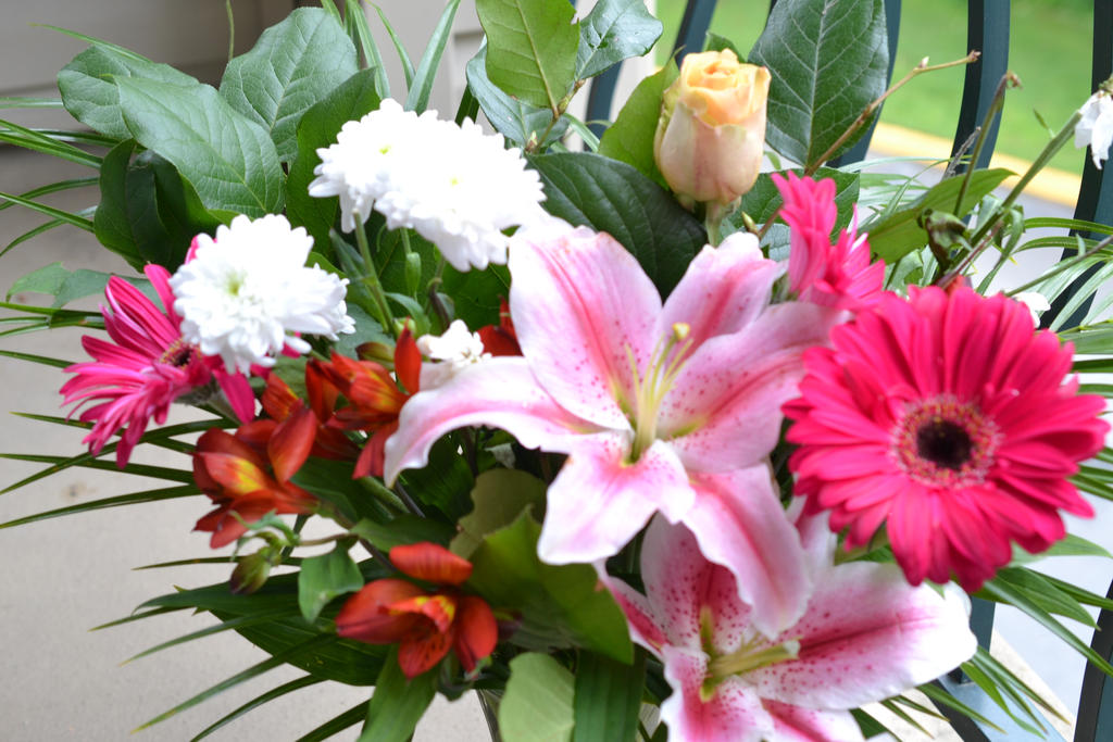 Mothers Day Flowers