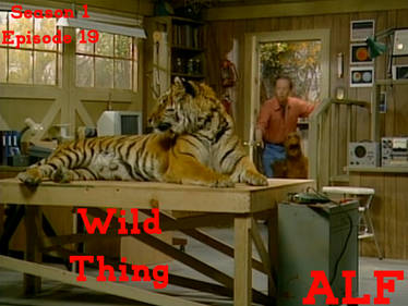 ALF, Willie and the Big Kitty!