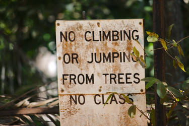 No Climbing or jumping from trees