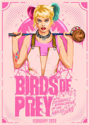 Birds Of Prey Poster