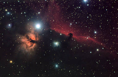 HorseHead and Flame