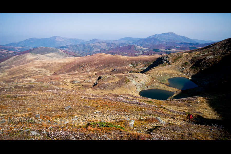 Bright eyes of the mountain