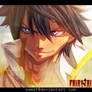 manga fairy tail 472 . gray