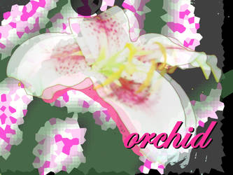 Digital Orchid