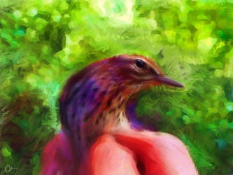 painting a bird wacon intuos by me