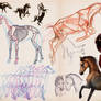 horse study set