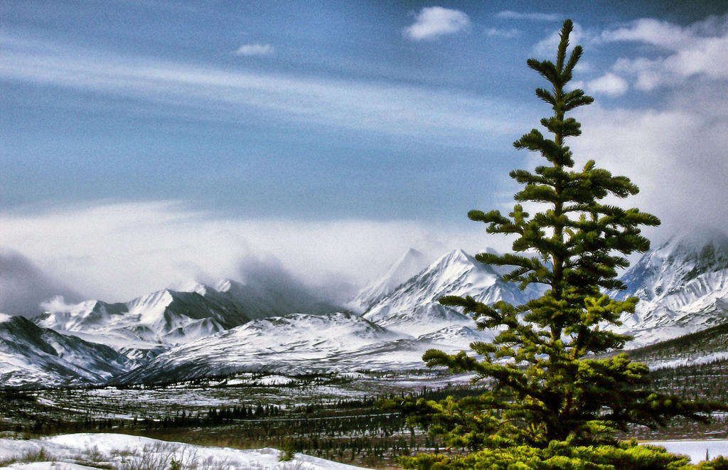 Alaska at its Best