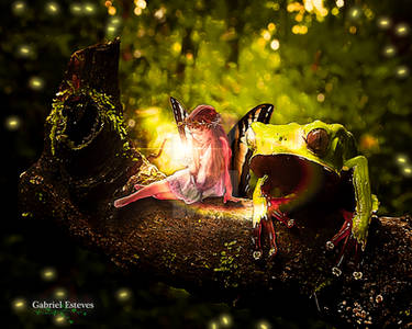 Fairy and Frog with fireflies