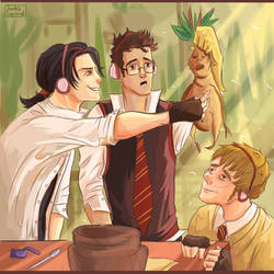 Marauders on the Herbology lesson.