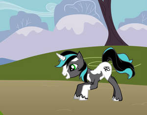 free Pony Adopteble