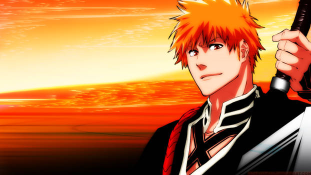 Ichigo WP