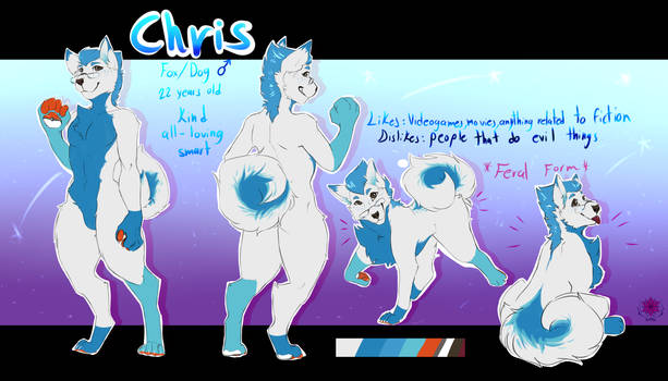 Chris the Fox-Dog's official reference sheet