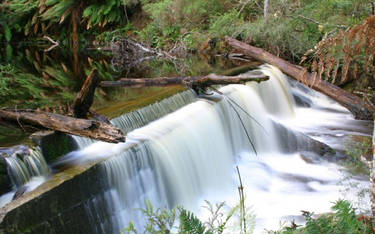 Halls Falls