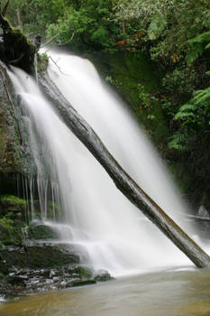 Lilydale Falls