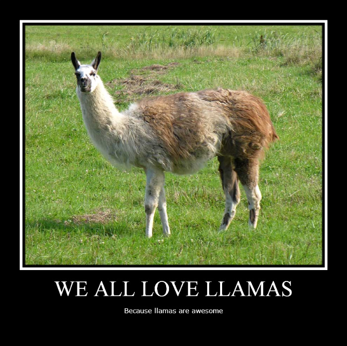 Llama