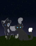 Honoring Starclan by Moon-feather