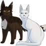 Nightclaw and Blizzard