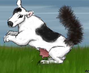 Squirrel-Cow