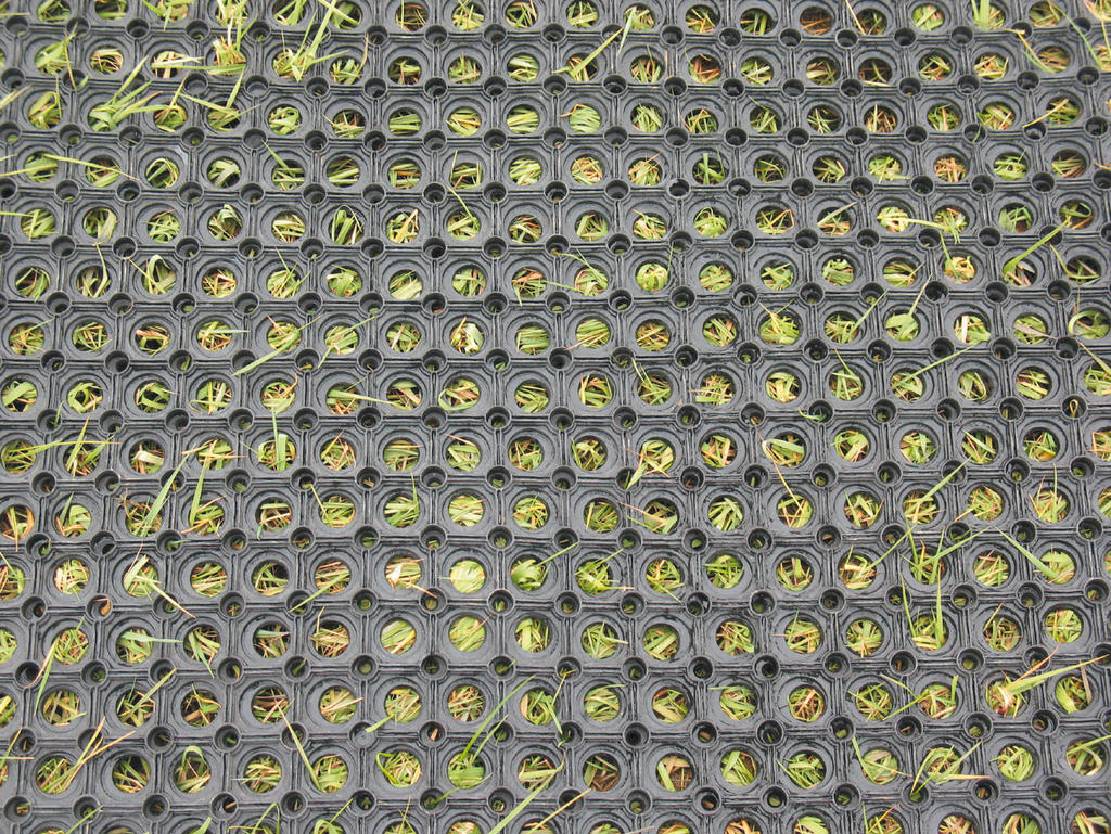 Ground Ring Mat by wwmuk on DeviantArt