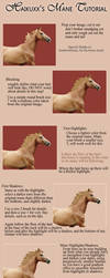 Mane Tutorial by Haikuxx
