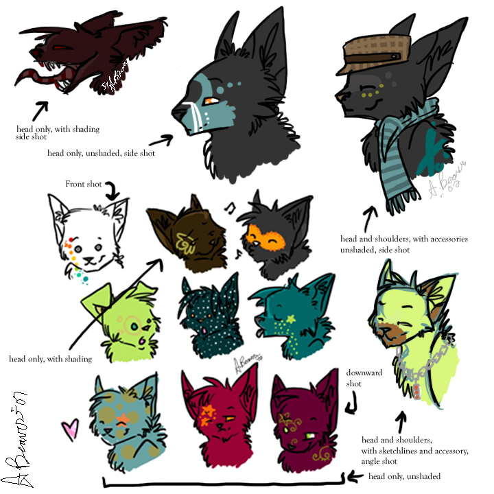Commish Guidelines, headshots. by DaasEriador on DeviantArt