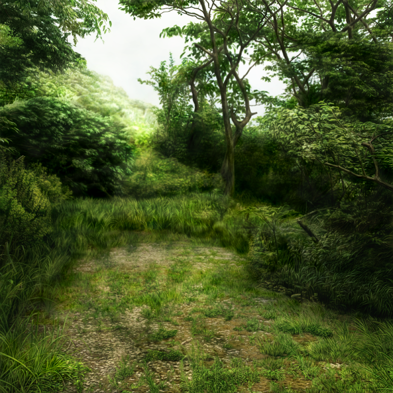 BG Stock 22 - Thicket Footpath