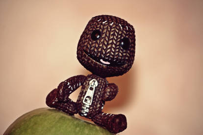 Happy Sackboy