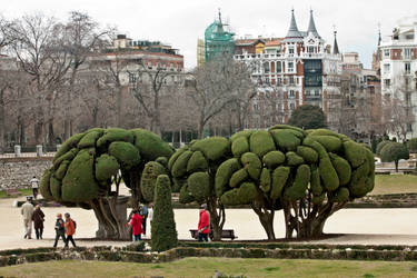 Parque el retiro I