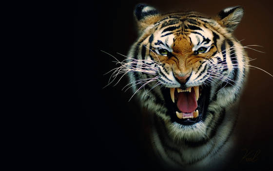 Tiger Enhanced