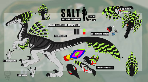 Salt reference sheet