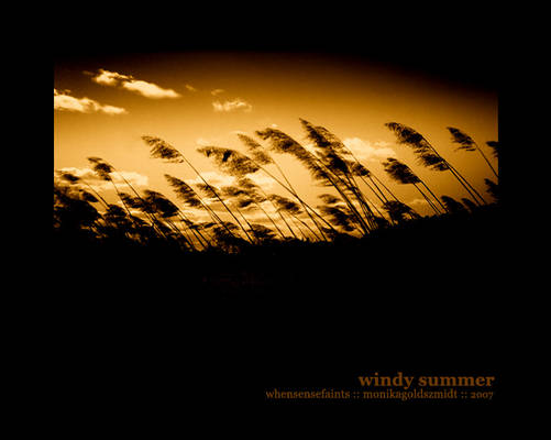 ' Windy summer '