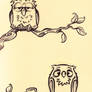 Owls