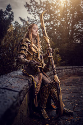 Elven Knight out of the Hobbit