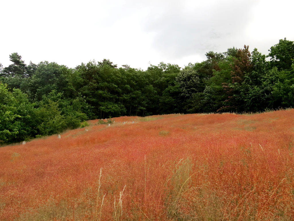 Barrow hill #3 by Nayamo on DeviantArt