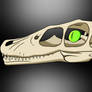 Velociraptor Skull