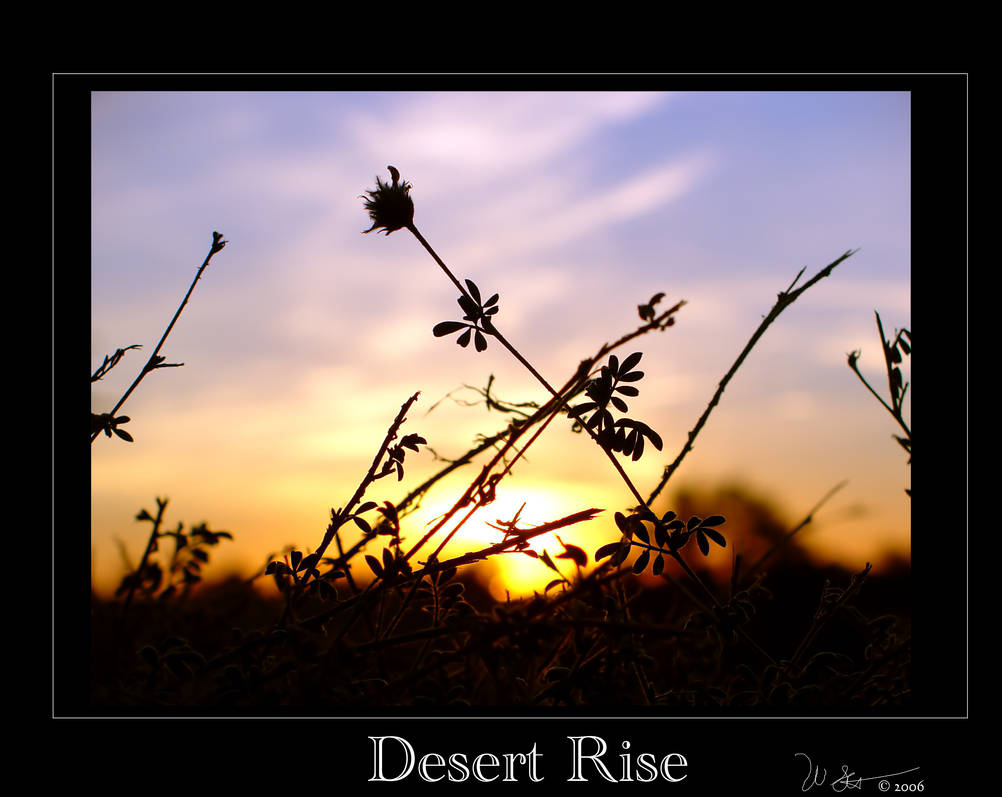 Desert Rise by ws76 on DeviantArt