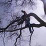 Two Boys and a Tree