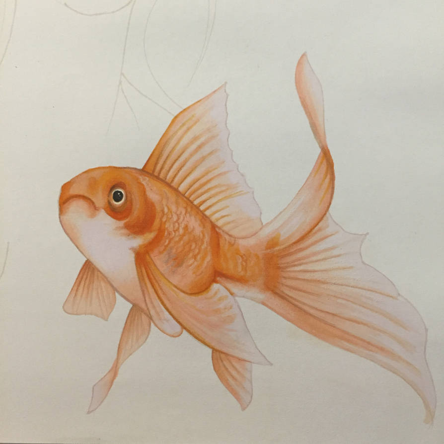 Alice Goldfish Goldfish by Jeffica-Alice on DeviantArt