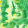 Green and Yellow Expiriment