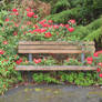 Flowers and Bench