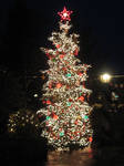 Christmas Tree of Lights by GreenEyezz-stock
