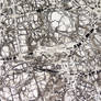 Cracked Rock Thin Section Texture