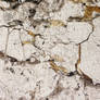 Cracked Rock Thin Section Texture 3