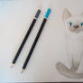 Siamese Cat pencil drawing