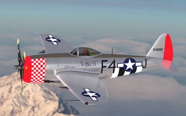 P47 flight