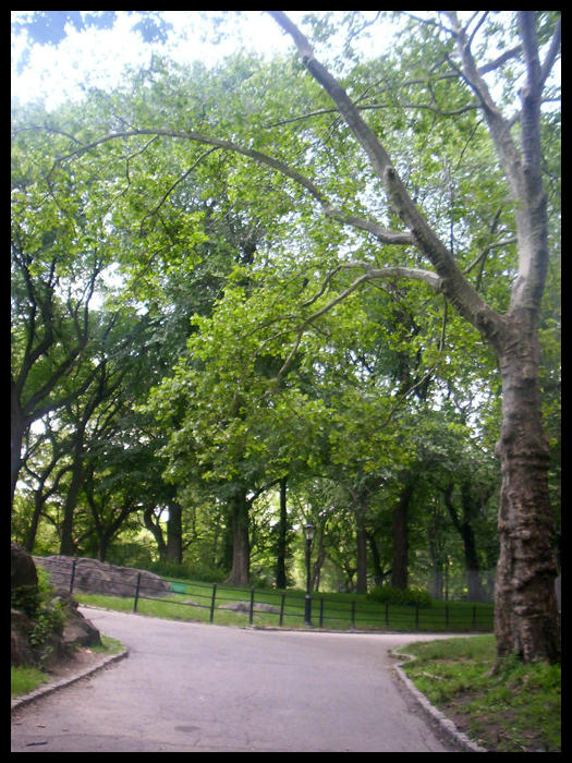 open path by purplendearment on DeviantArt