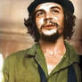 Che Guevara 27