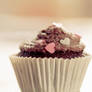 11.52 - Chocolate Chip Cupcake